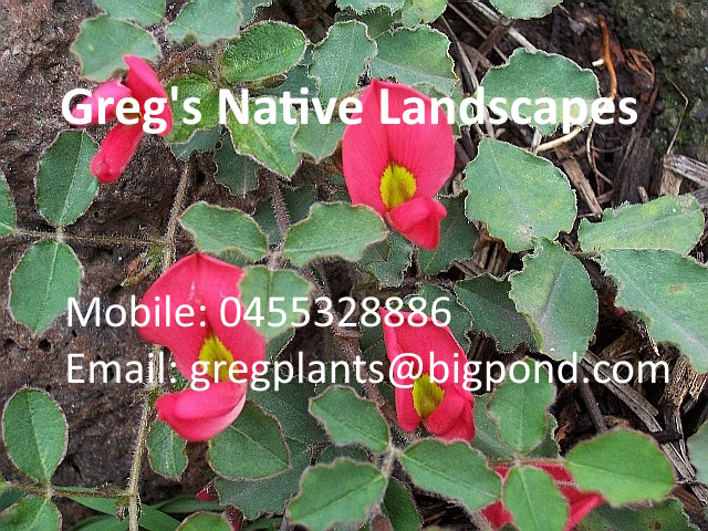 images/Gregs_Native_Landscapes.jpg